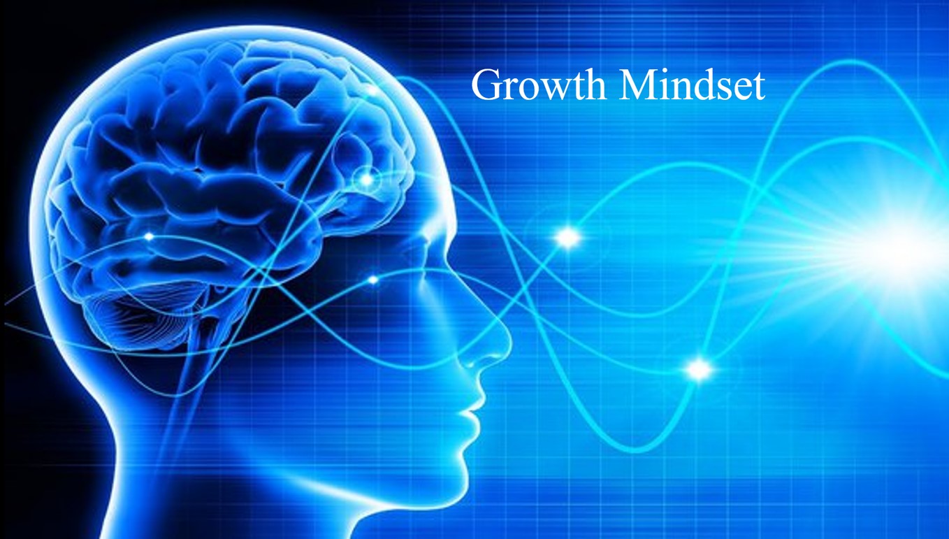 Growth Mindset Books And Examples MyAssignmentTutors